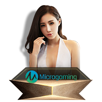 Microgaming